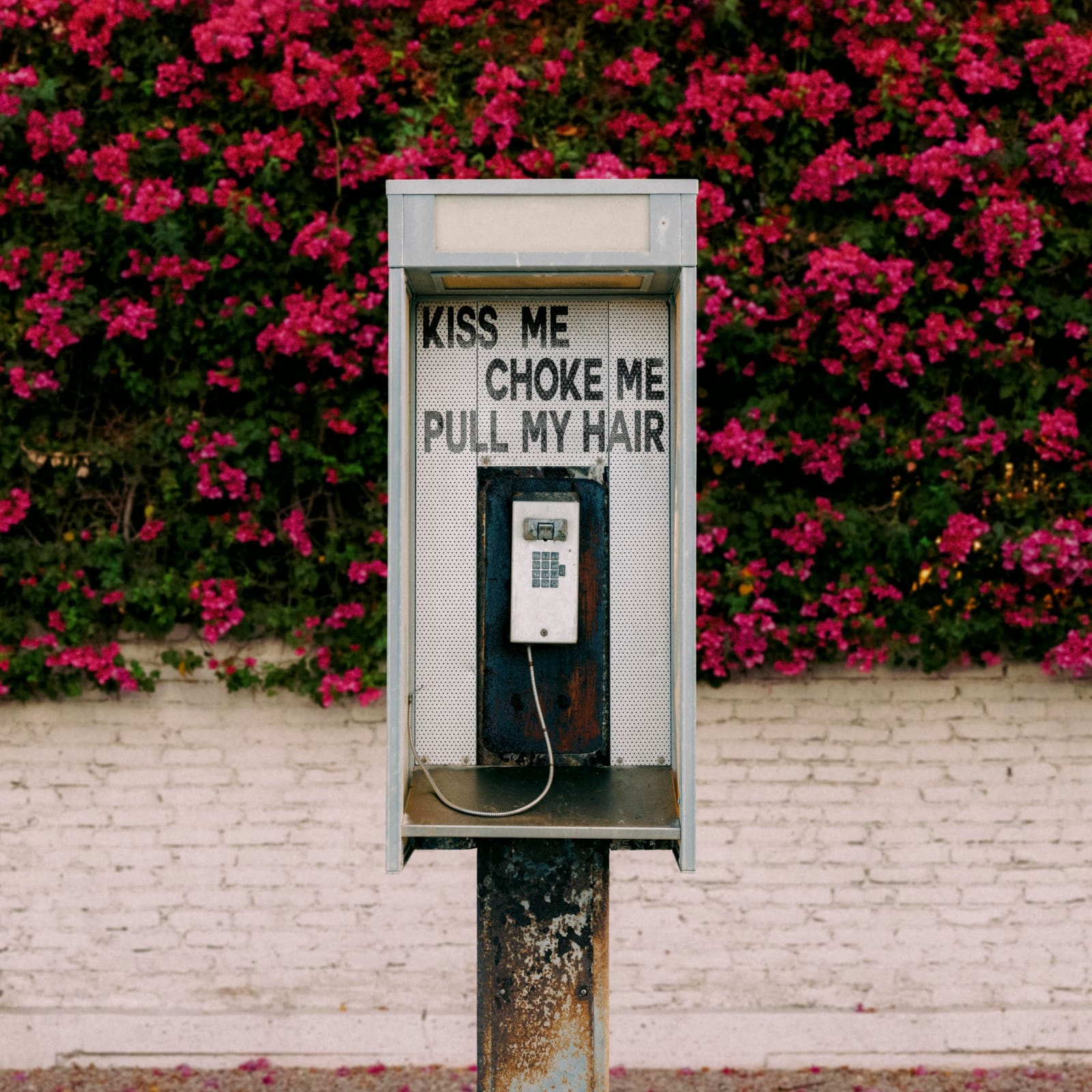 Jeffrey Czum, Phone Sex, 2025