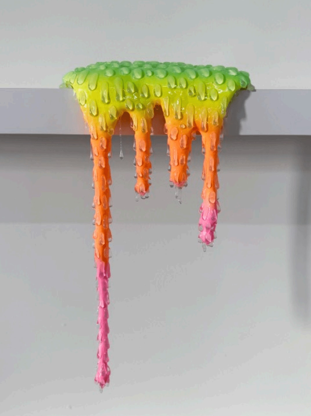 Dan Lam, Quirk, 2025