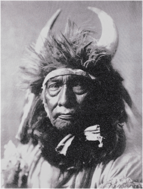 Russell Young, Bull Chief Apsaroke, 2010