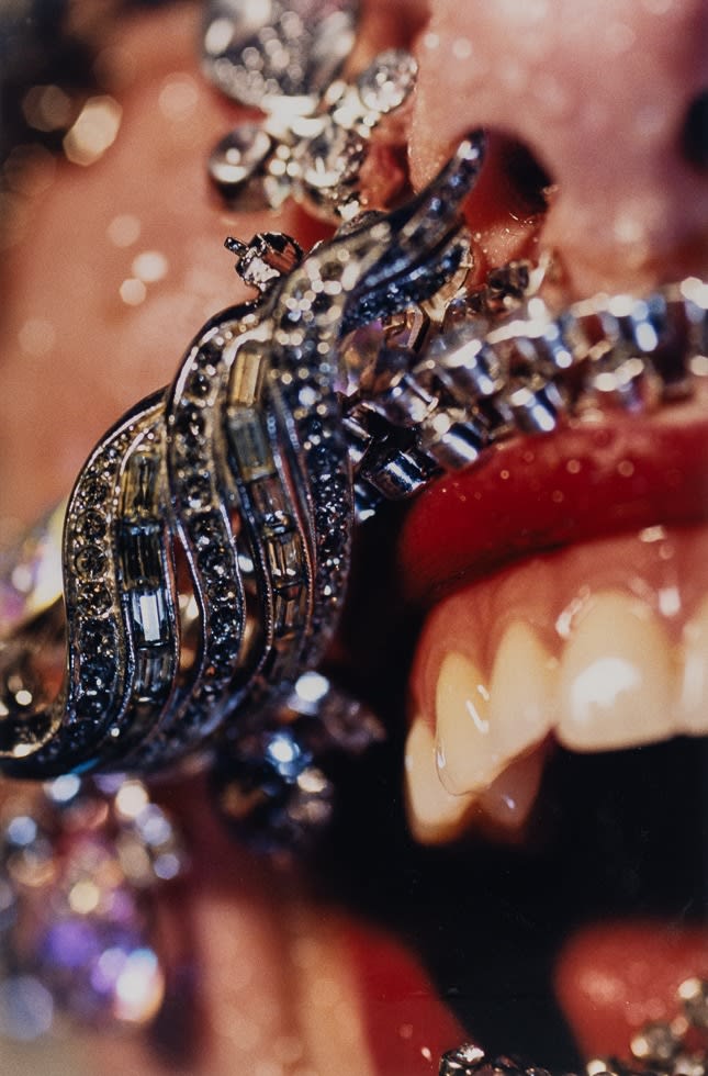 Marilyn Minter, Brooch, 2004