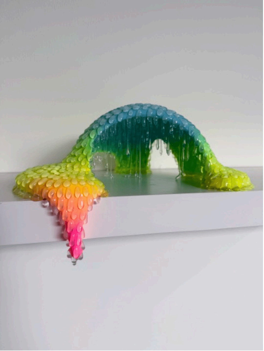 Dan Lam, Dribble, 2025