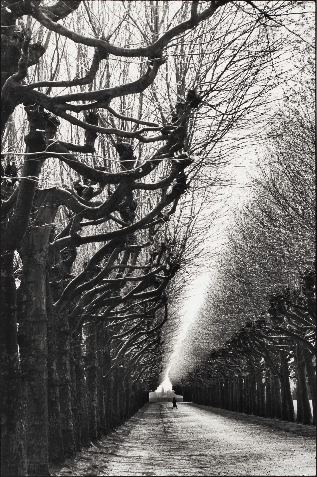 MARTINE FRANCK, Meudon observatory, Seine-et-Oise, France, 1991