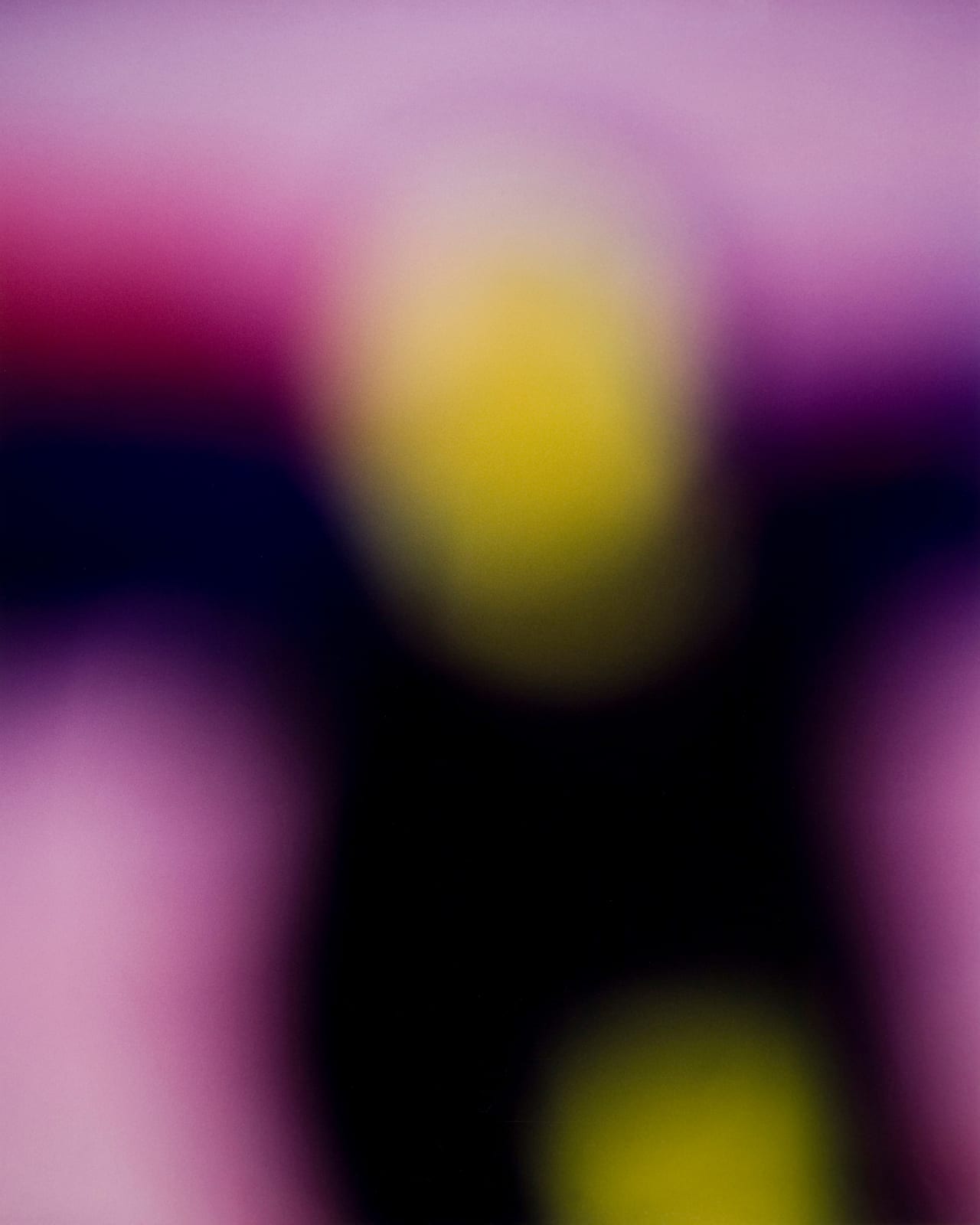 BILL ARMSTRONG, Portrait #303