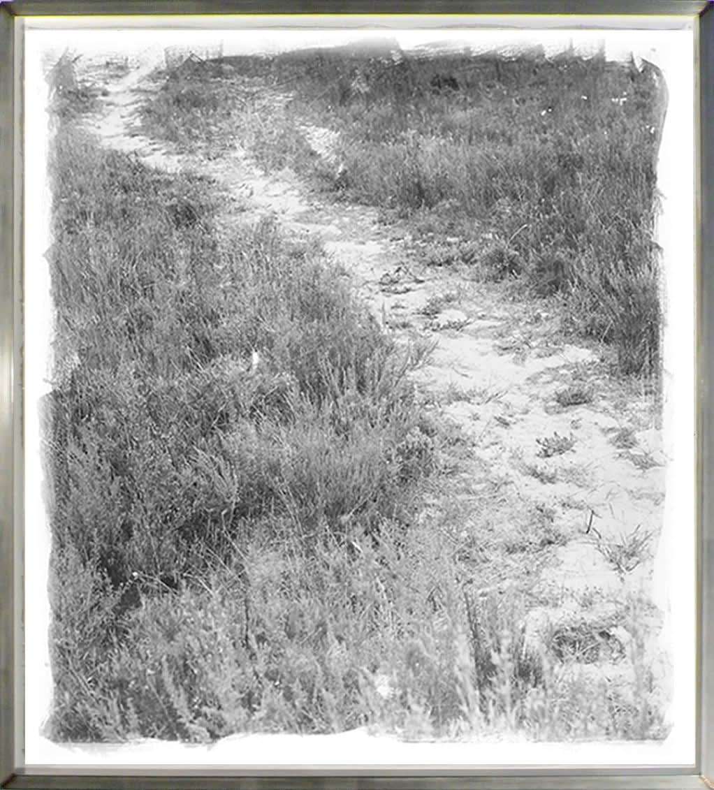 STEPHEN INGGS, Footpath, 2004/2008
