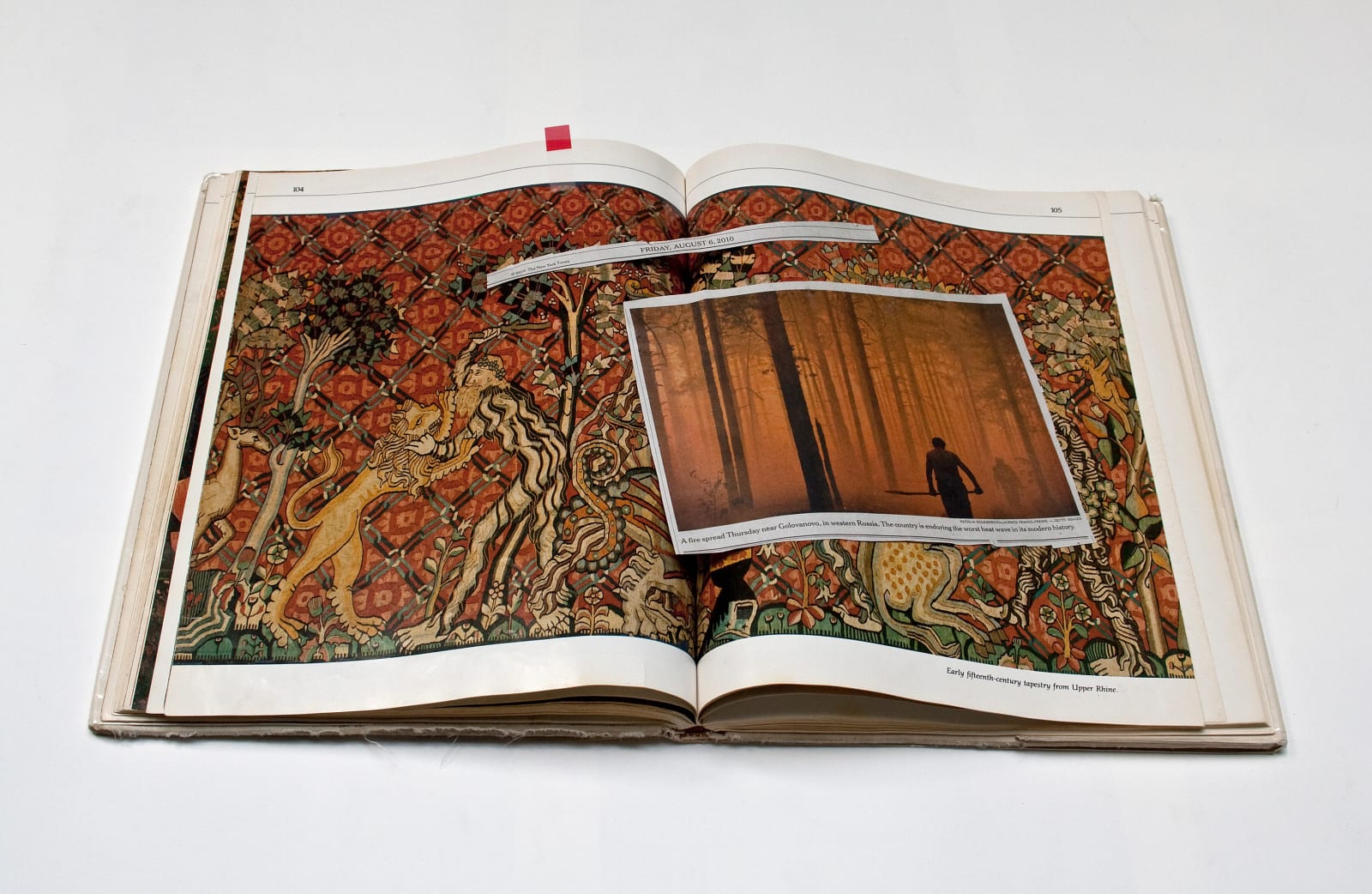 Joanne Leonard, Forrest Fire and Medieval Tapestry of Trees , 2010