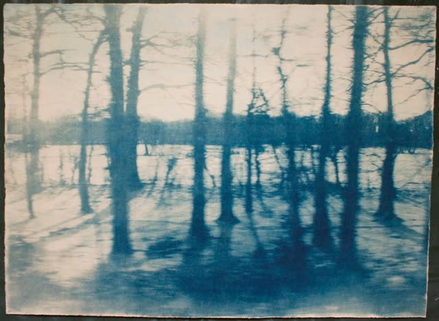KATJA LIEBMANN, Winter Journey I (after Franz Schubert's Winterreise), 2010