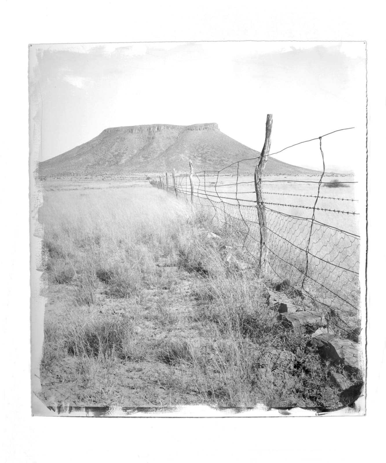 STEPHEN INGGS, Fence 1, 2001