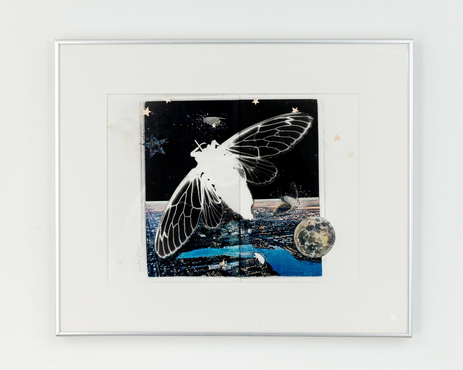JOANNE LEONARD, World View with Cicada, 1987