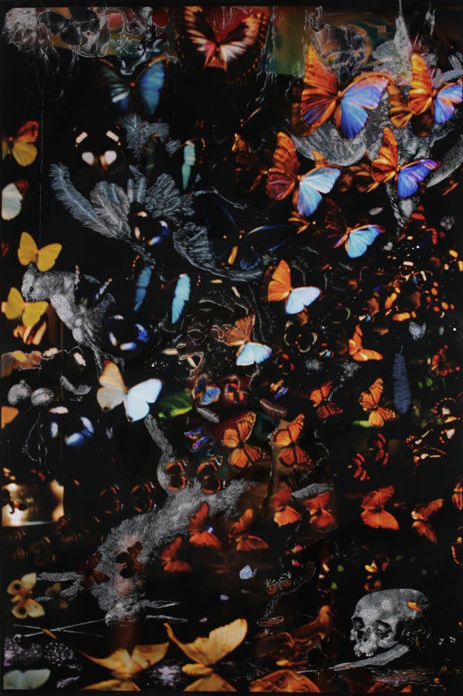 Sebastiaan Bremer, Butterflies and furs, 2008