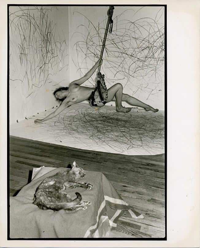 Carolee Schneemann, Up to and Including Her Limits, 1973-76