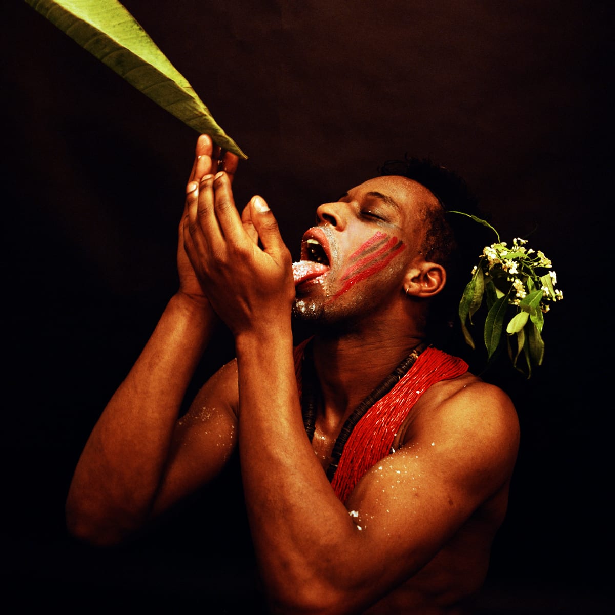 Rotimi Fani-Kayode, Nothing to Lose VII (Bodies of Experience), 1989