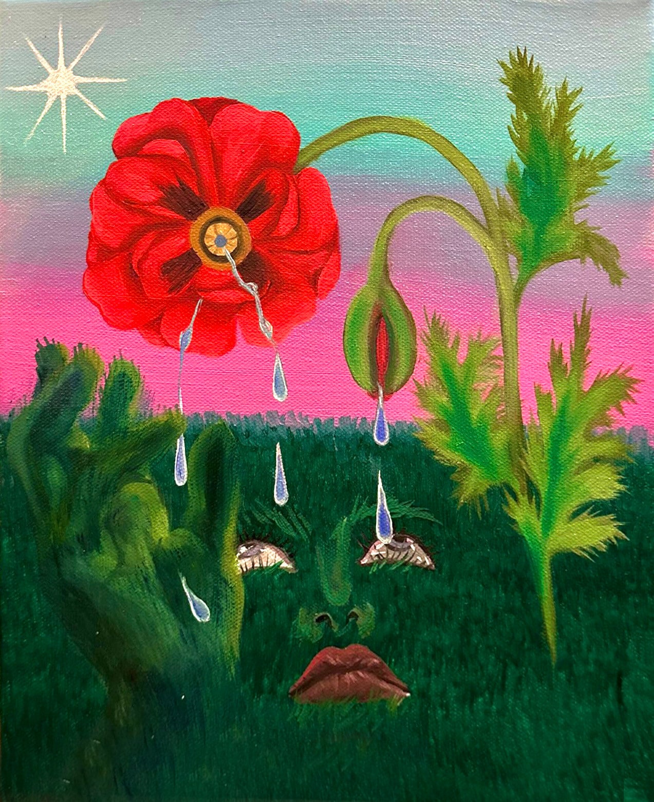 Ramsko, Klatschmohn, 2024