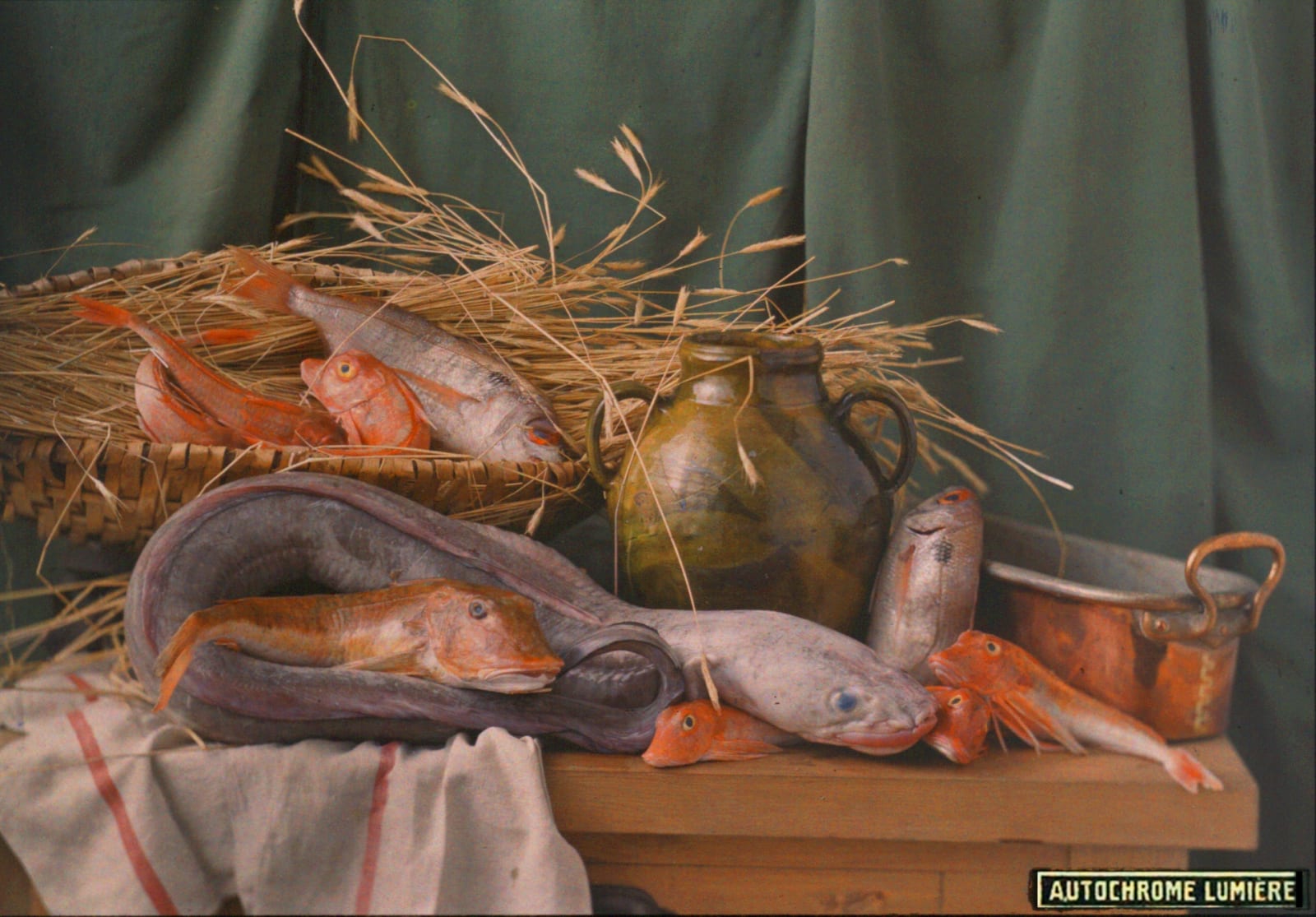 Lumière Brothers Studio (French), Still life with fish, circa 1907