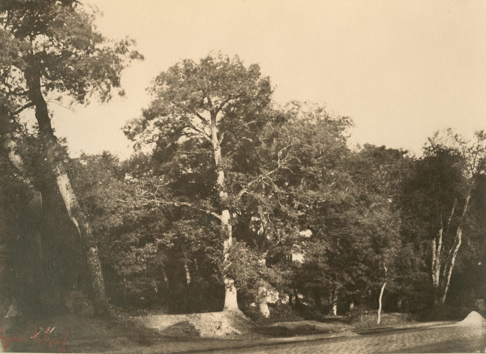 Gustave Le Gray (French, 1820-1884),