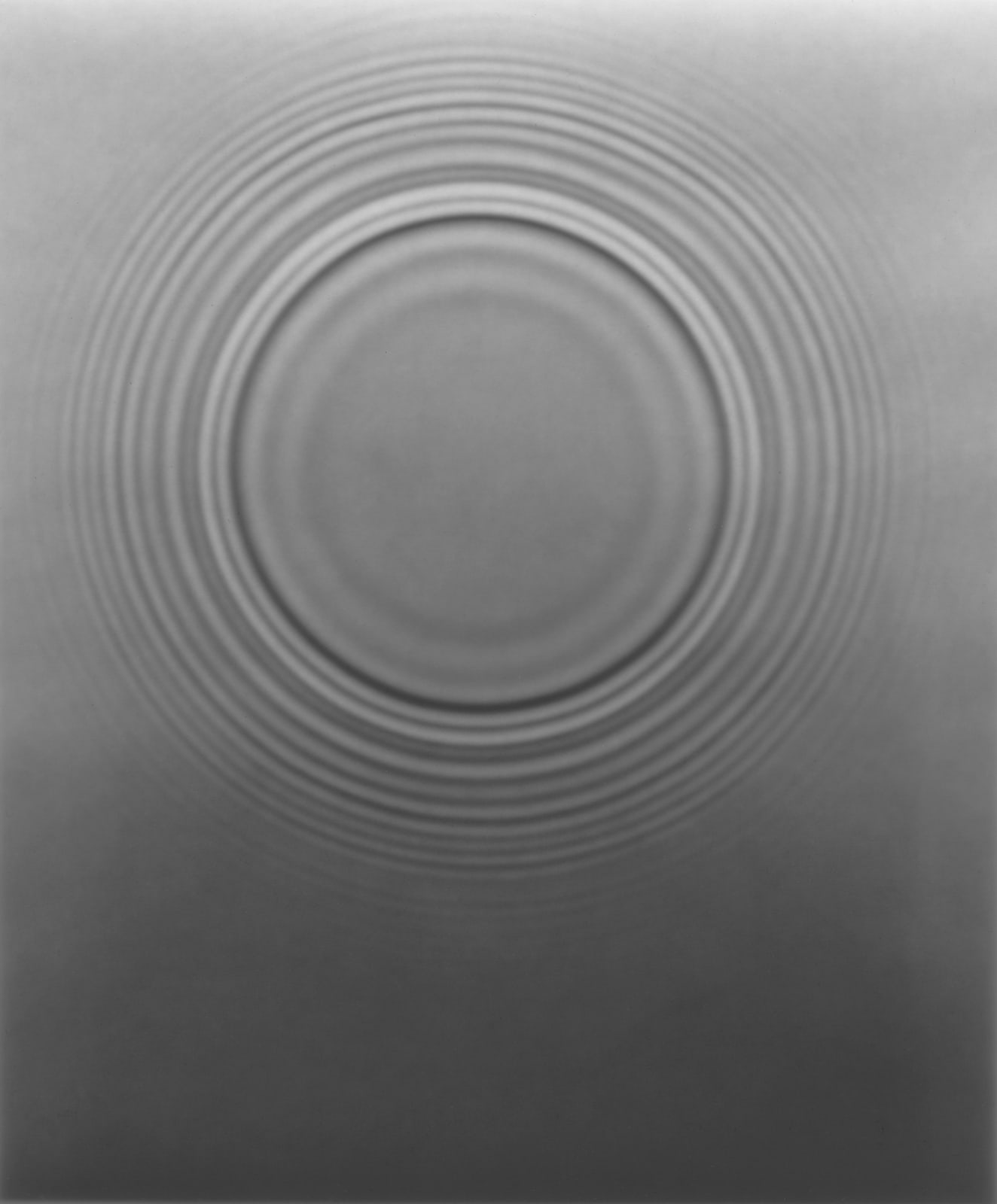 Adam Fuss (American, born in England, b. 1961), ARK 2005, 2005
