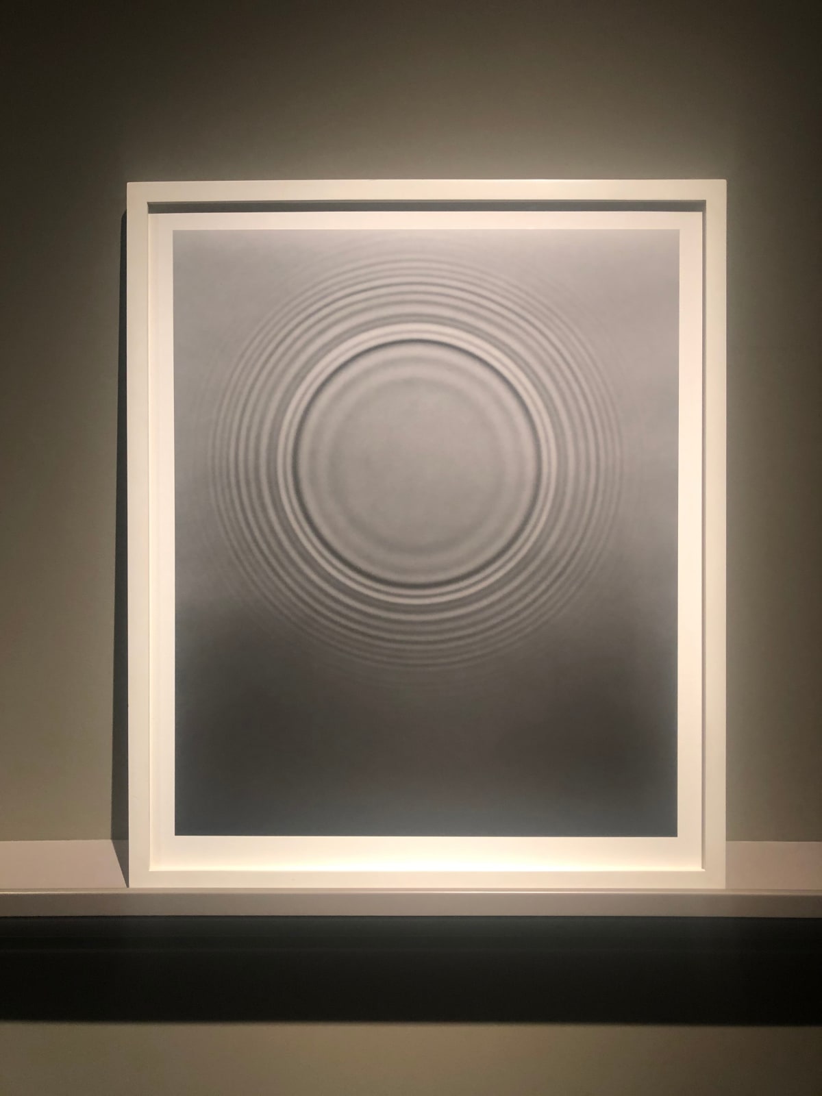 Adam Fuss (American, born in England, b. 1961), ARK 2005, 2005
