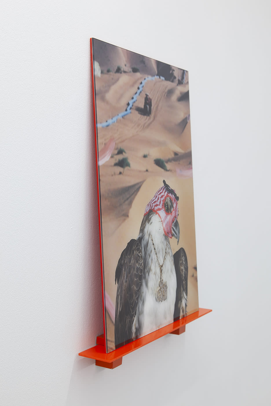 Sheida Soleimani, Trapping Season, 2017