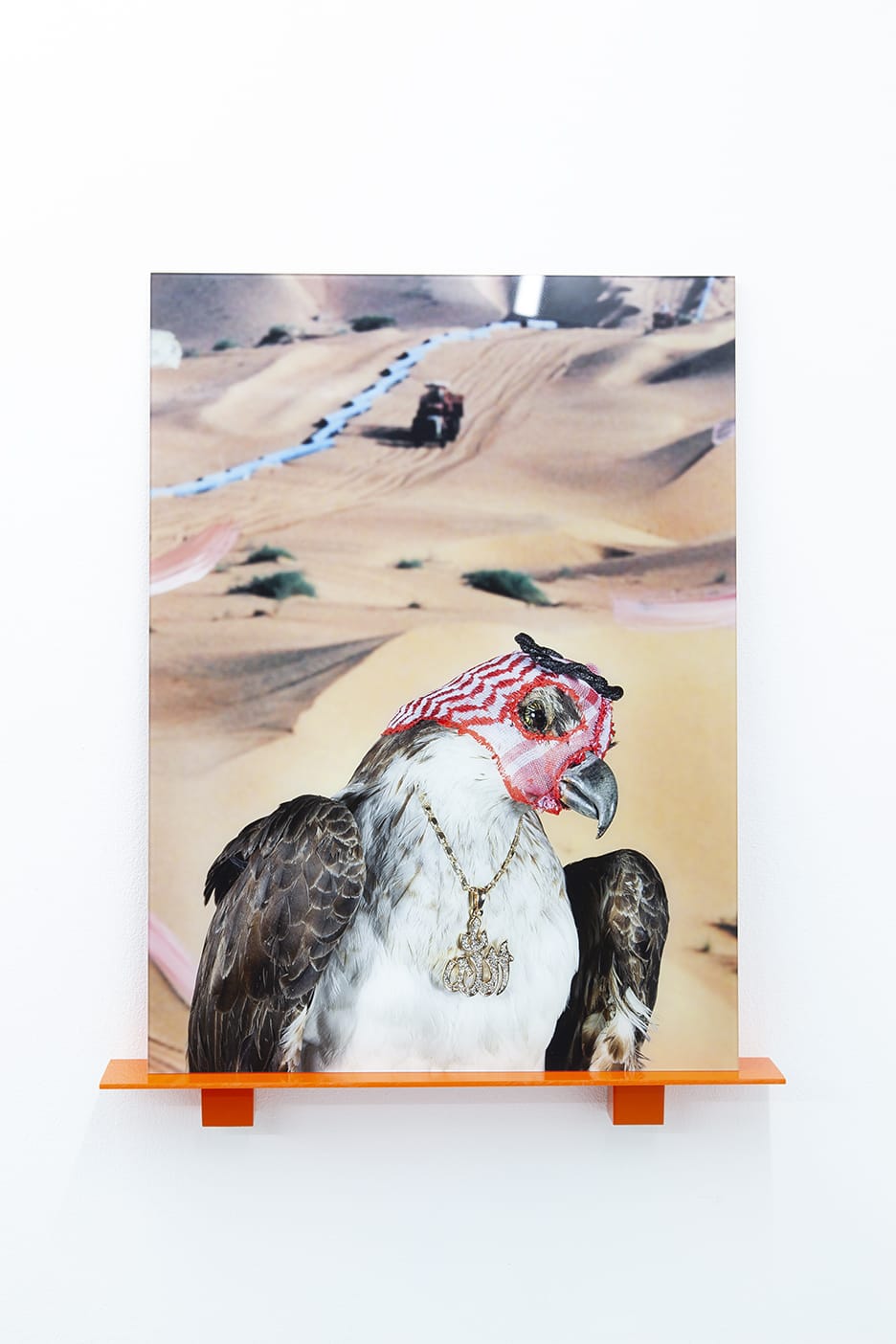 Sheida Soleimani, Trapping Season, 2017