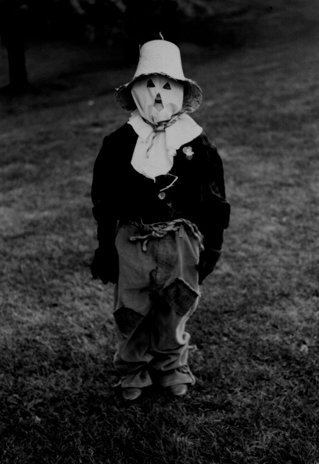 TR Ericsson, Scarecrow, 2012