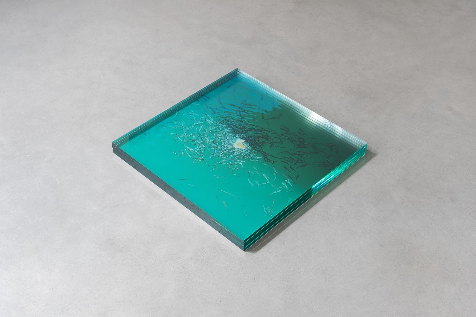 Mostafa Saifi Rahmouni, The Only Way, 2016