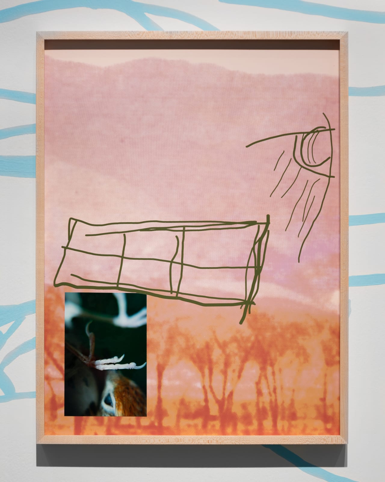 Sheida Soleimani, Stellar Cues, 2025