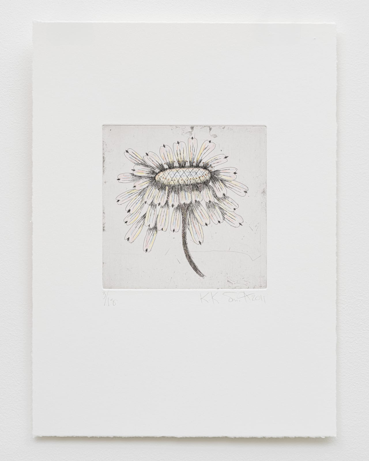 Kiki Smith, Escapades, 2011