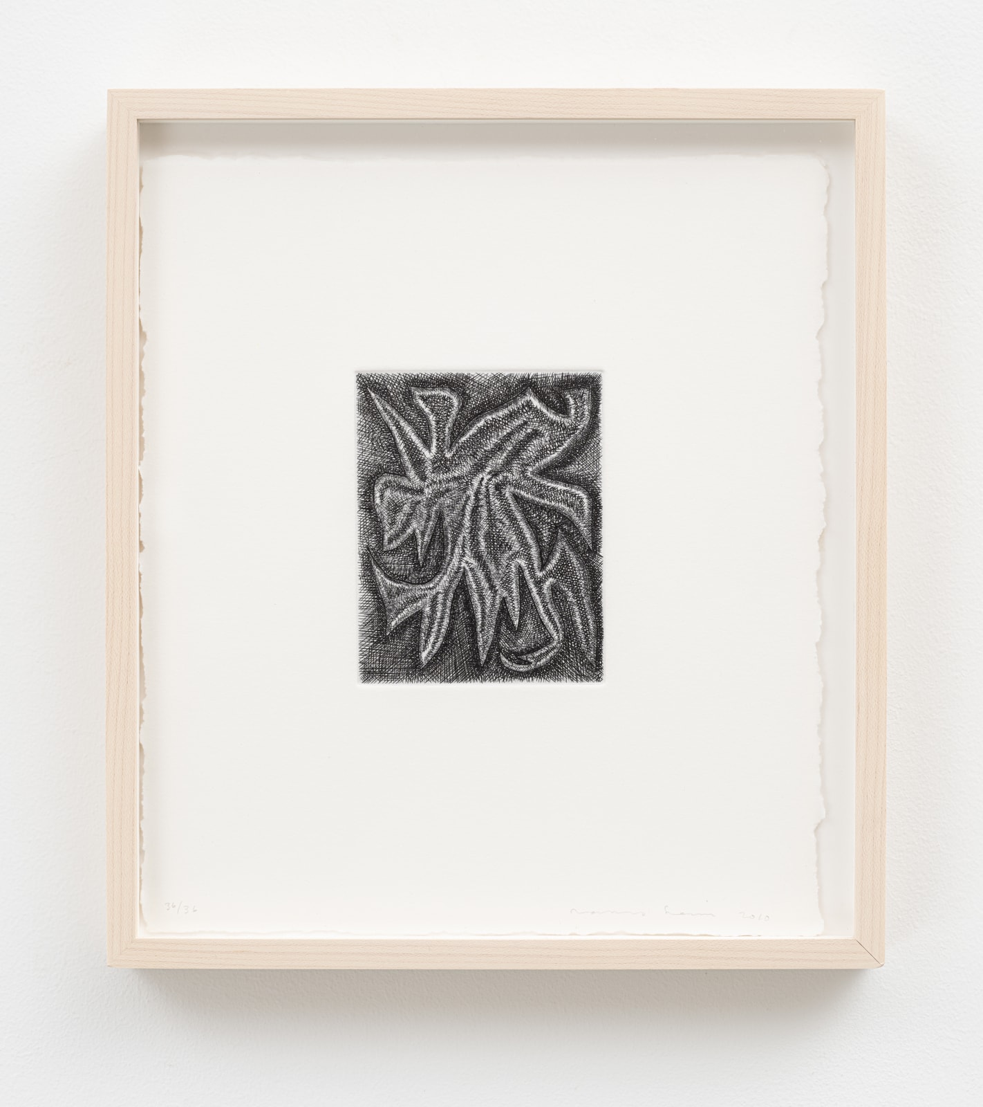 James Siena, Angry Form, 2010