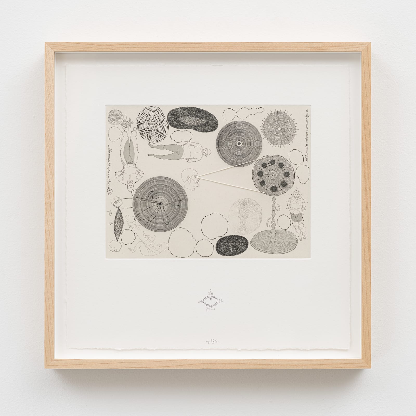 José Antonio Suárez Londoño, n.286 Agua Tibia, 2013