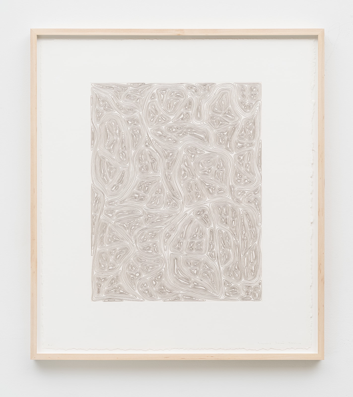 James Siena, Squa Tront, 2005-10