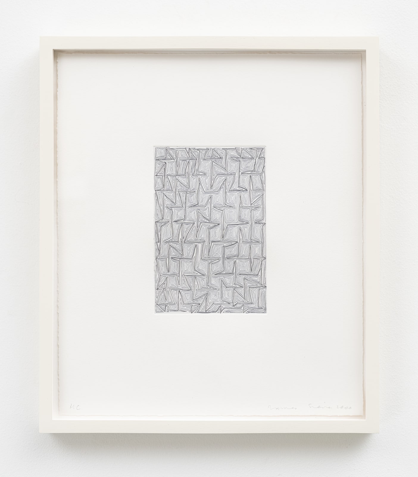 James Siena, Proton Saga, 1999-2000