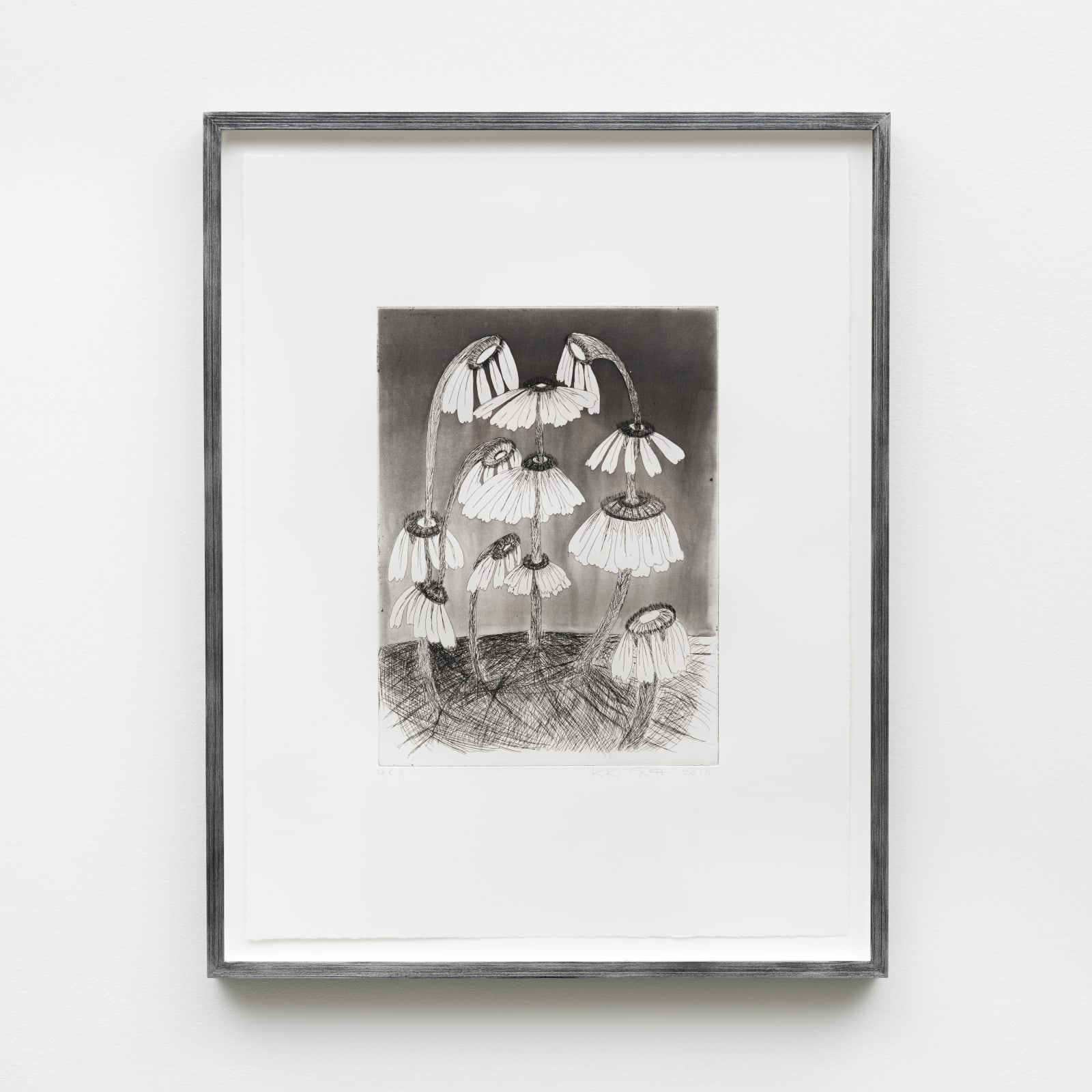 Kiki Smith, Variety Flowers, 2014