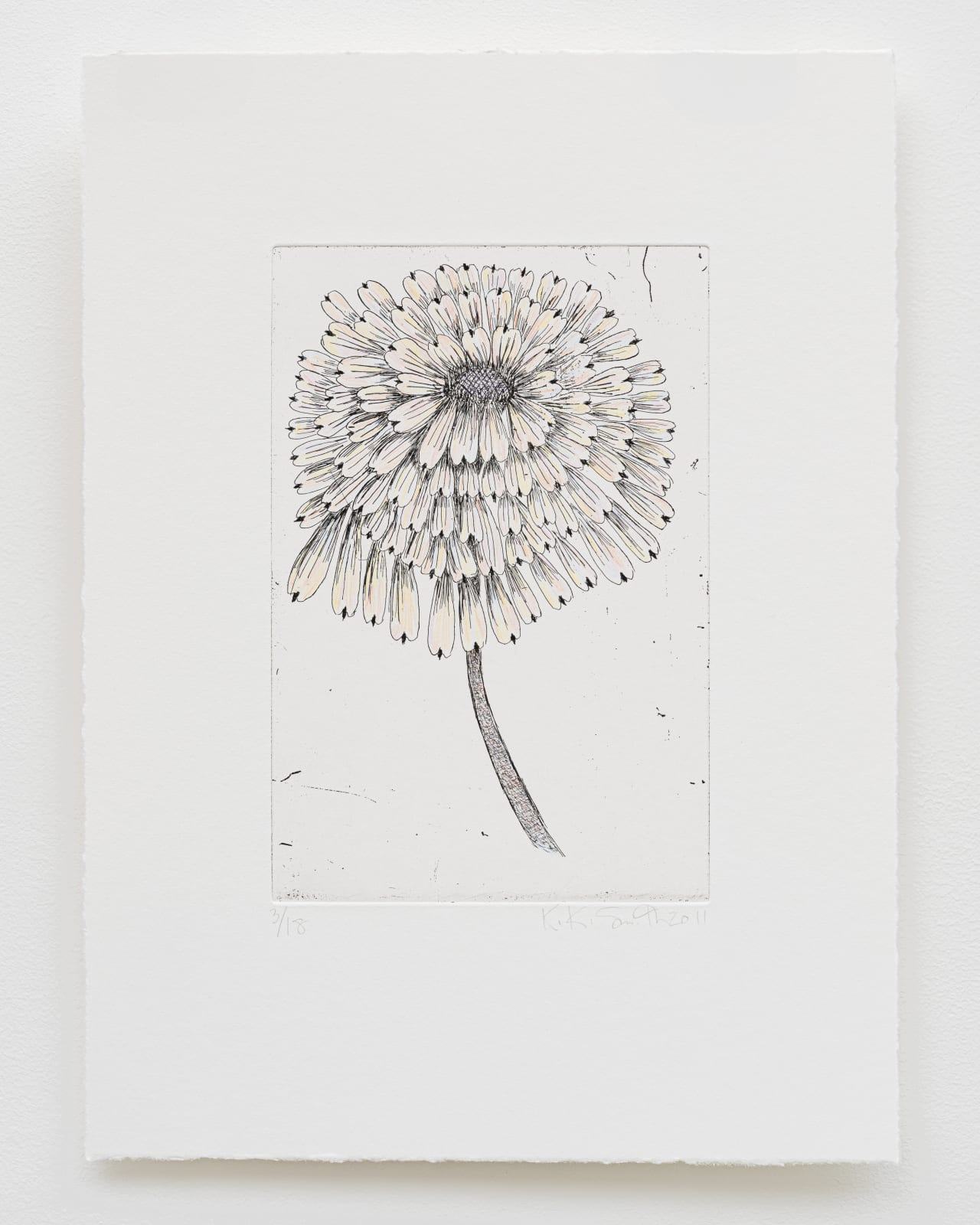 Kiki Smith, Escapades, 2011