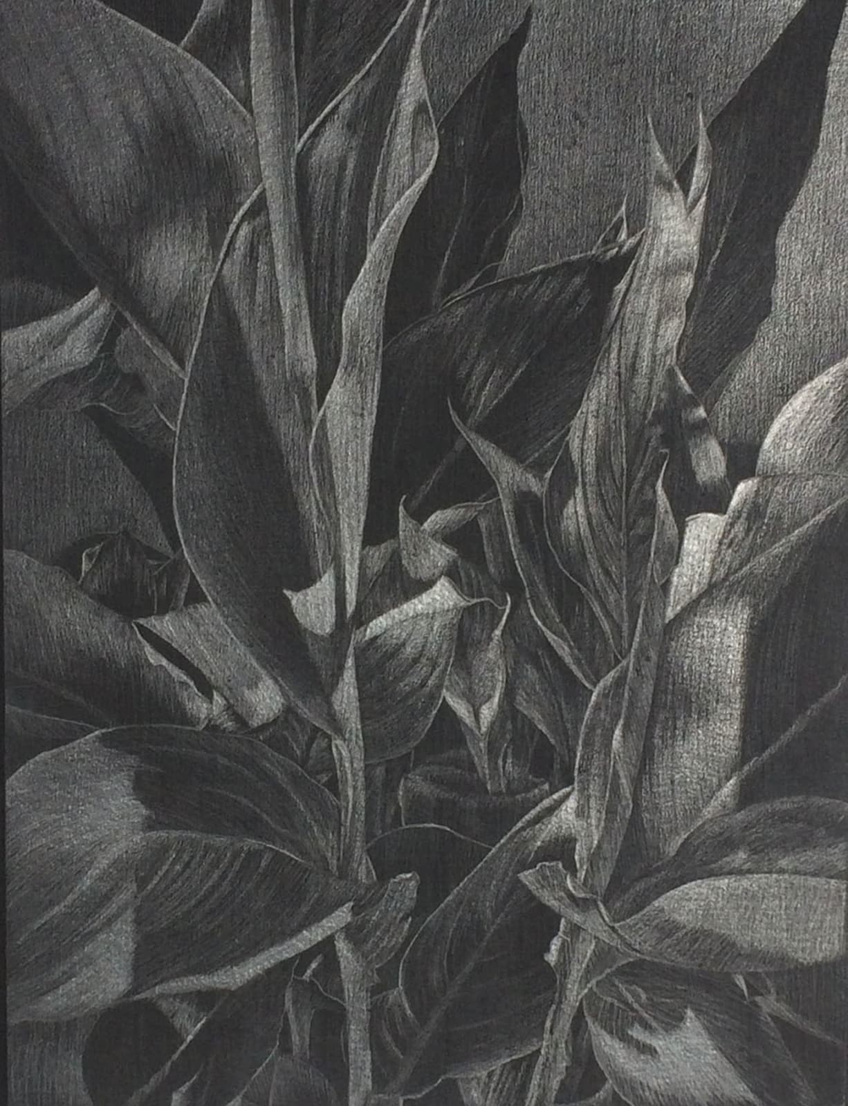 Marjorie Williams-Smith, Lines and Shapes , 2017