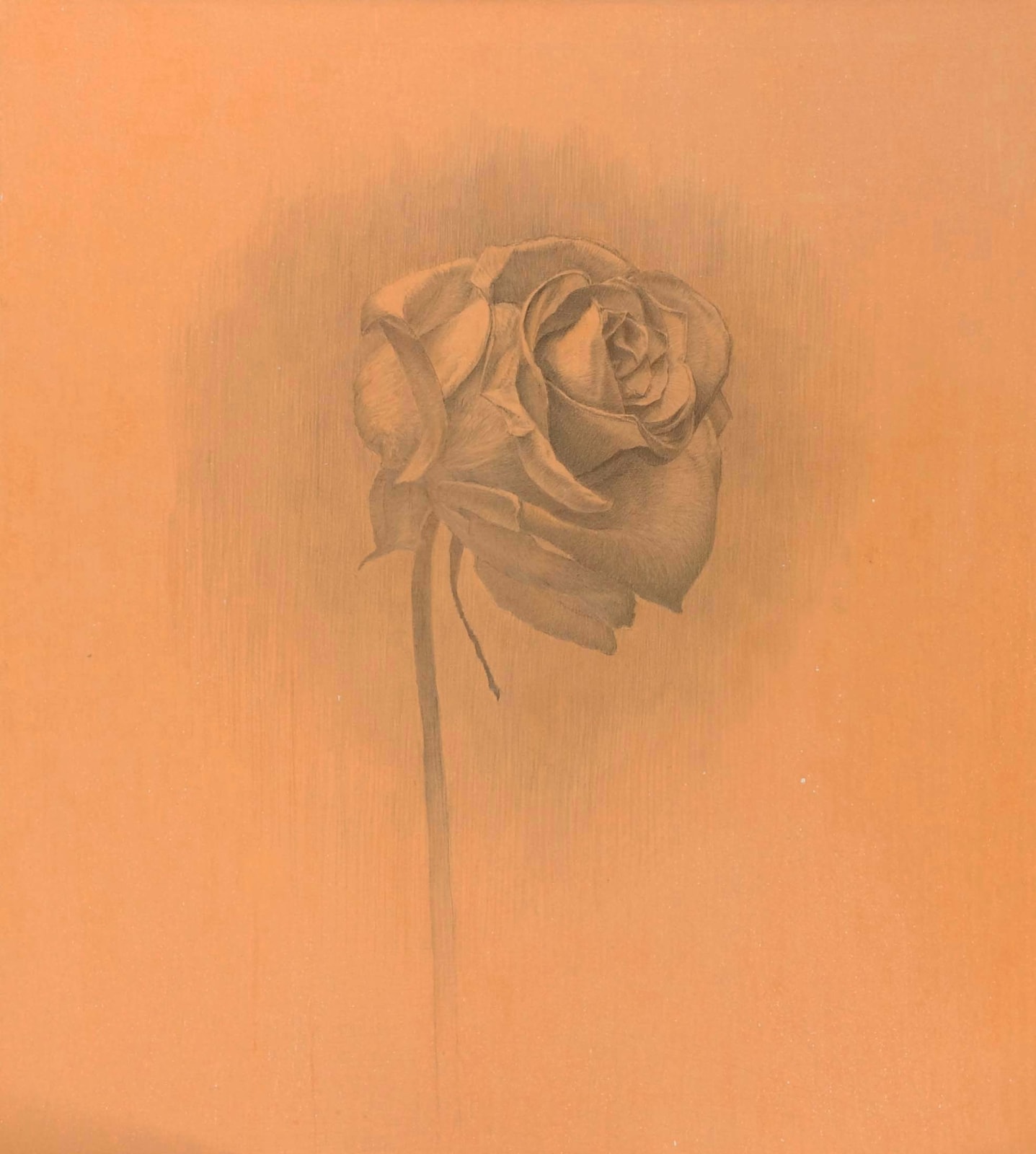 Marjorie Williams-Smith, Fear Not, 2018