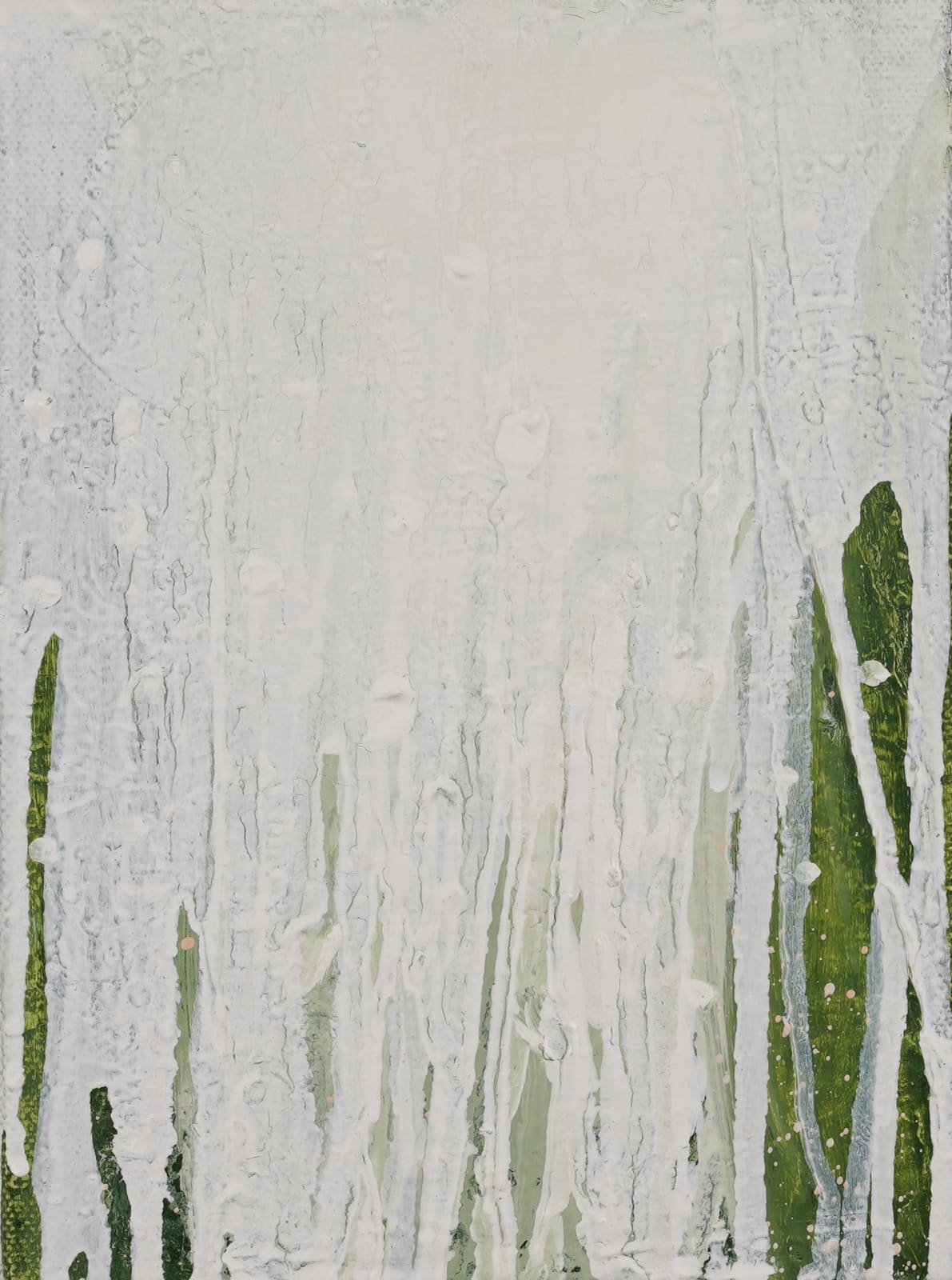 Hushed Reverence, 2024