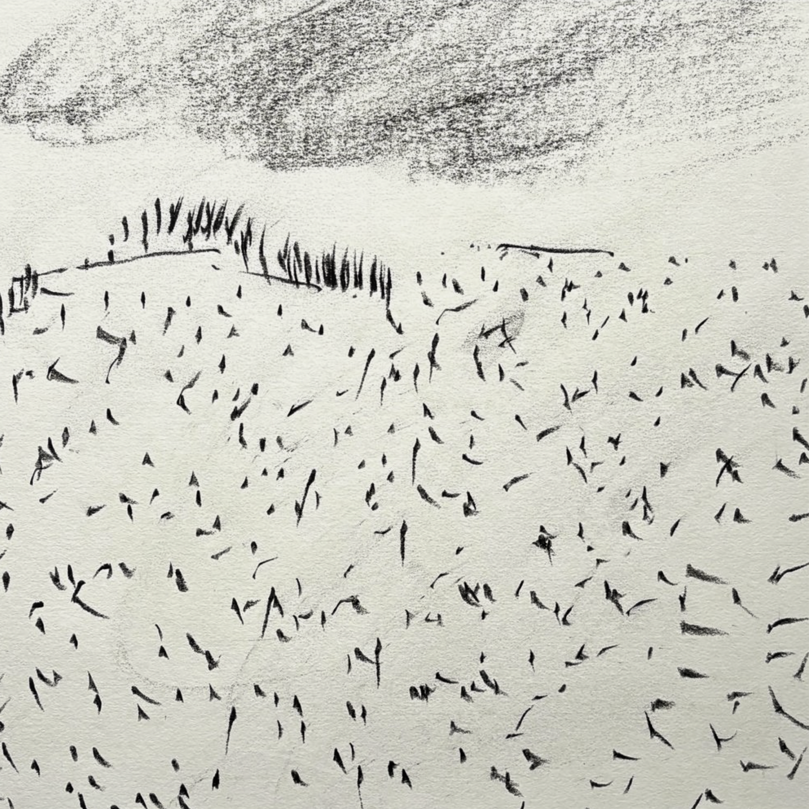 Iceland Drawing En Plein Air (iii), 2023