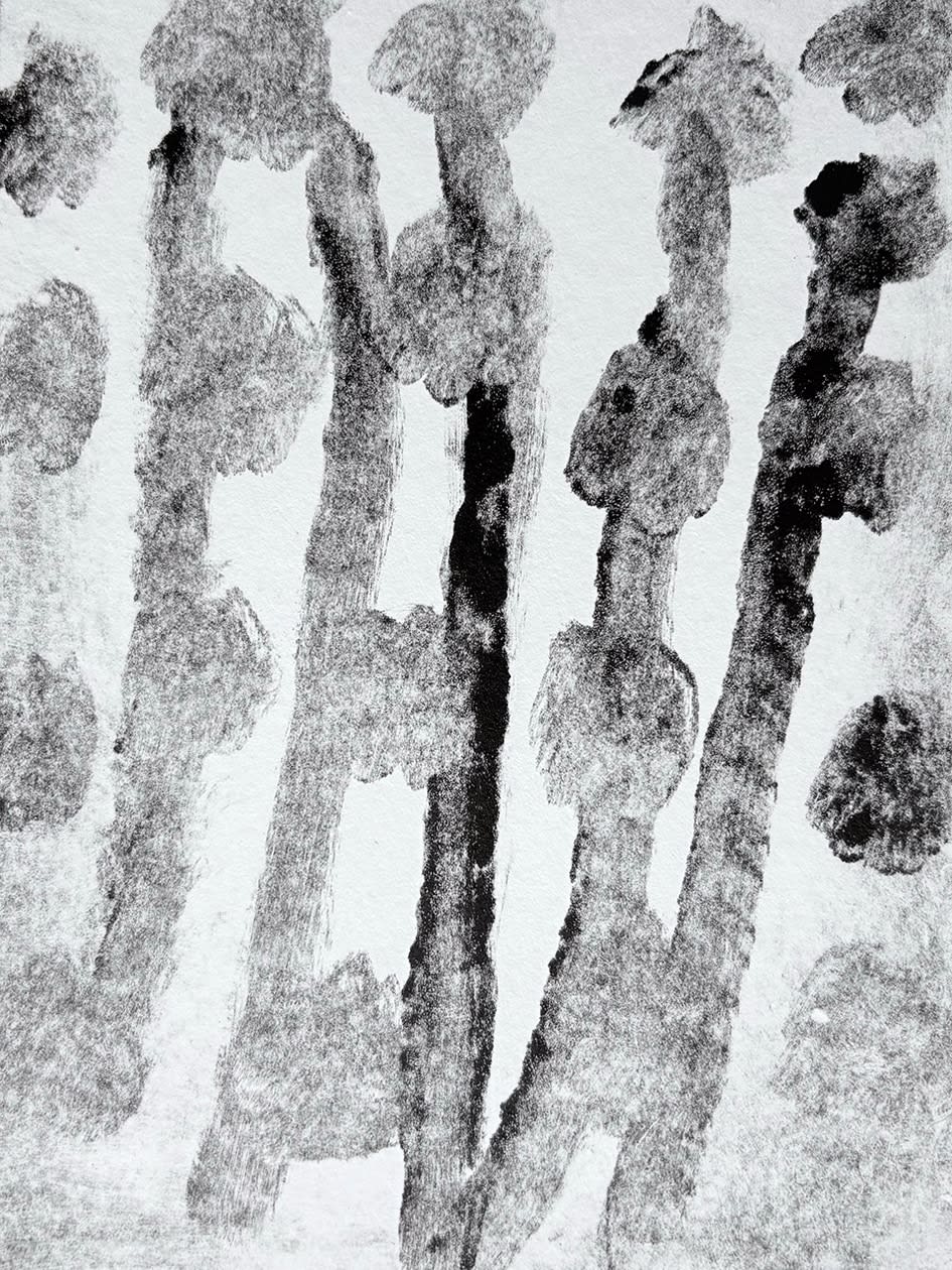 Black and White Monotype (19), 2025