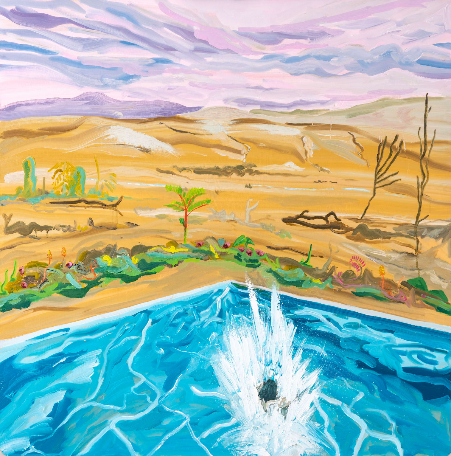 Mario Davalos, Desert resort, 2025