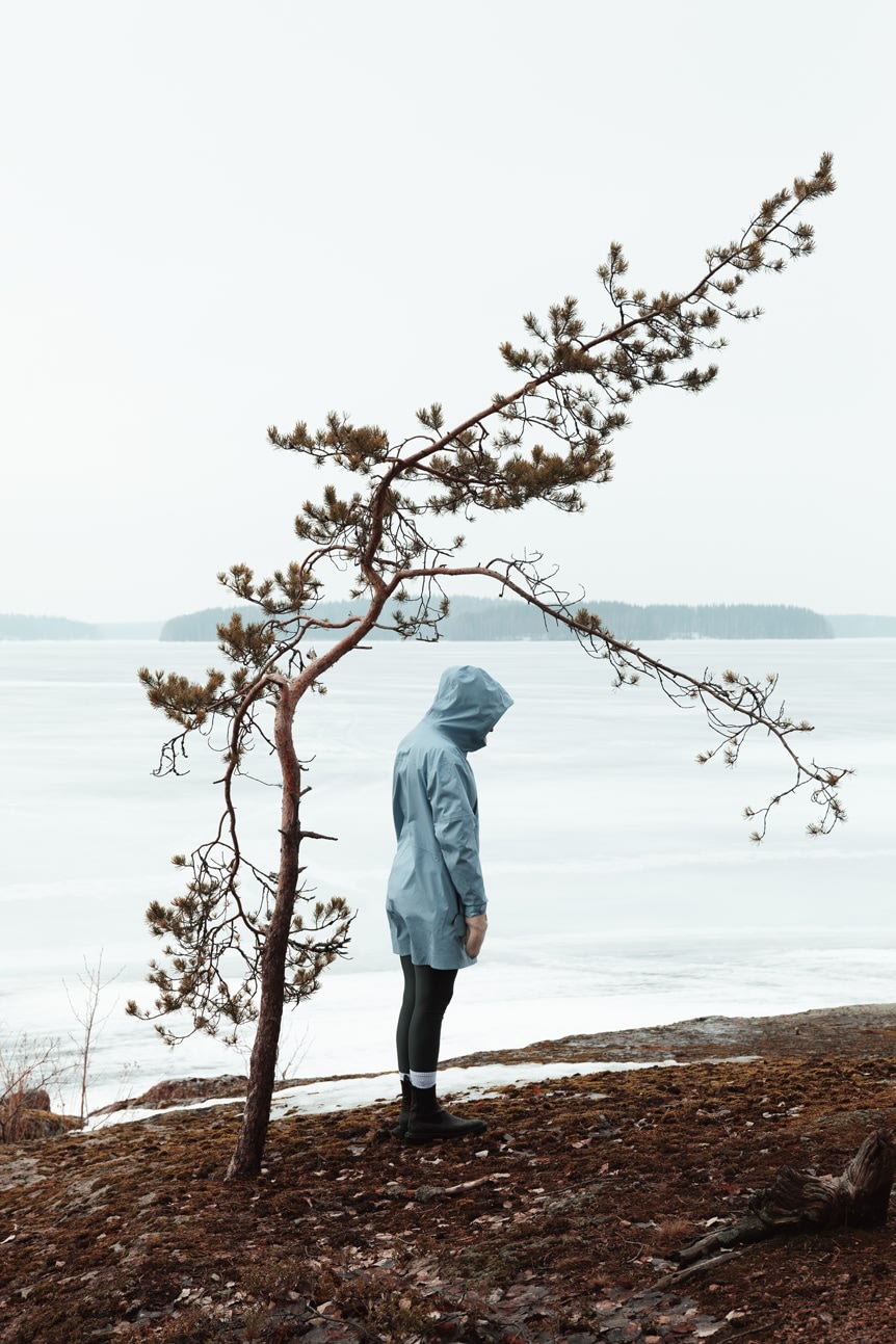 Svante Gullichsen, Winter Form, 2021