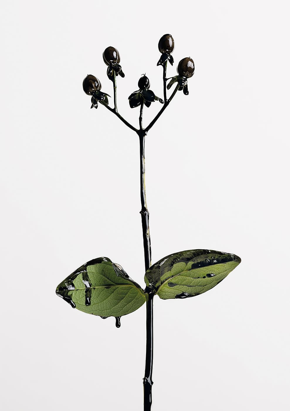 Tomas Olsen, Inanimate 9, 2020