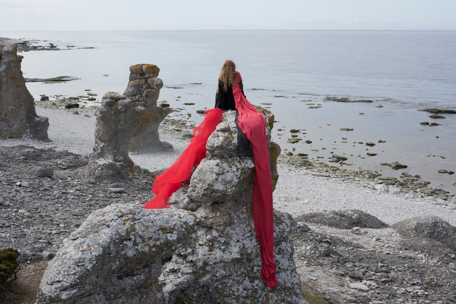 Florence Montmare, Reflection, 2015