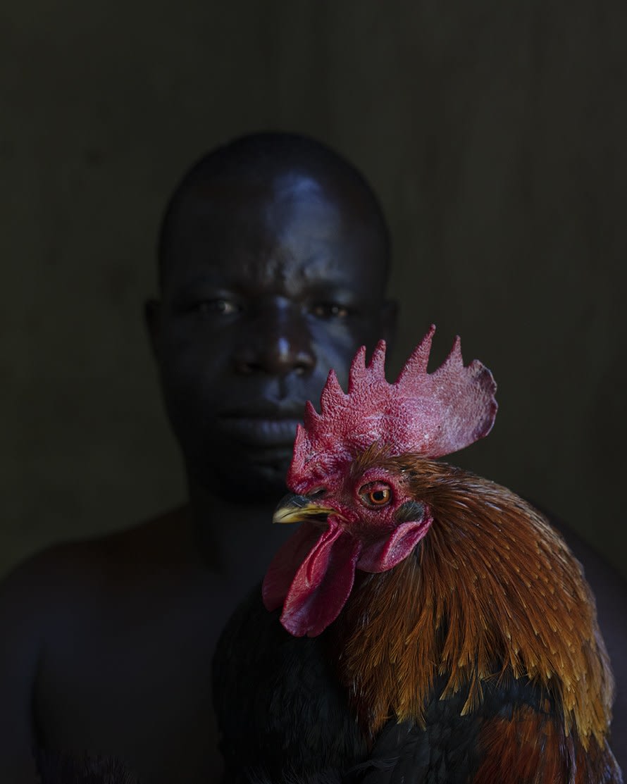 Angelika Kollin, Fearless, 2019