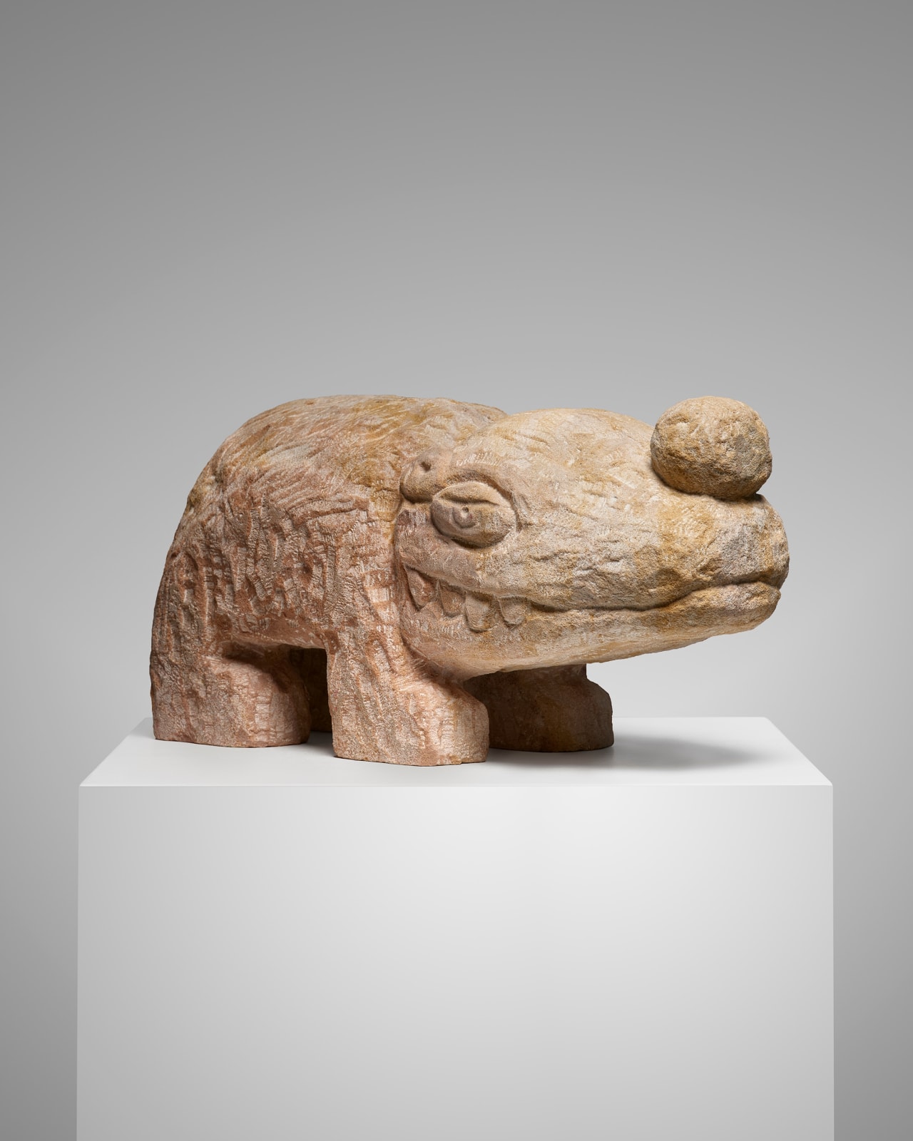 Stefan Rinck, Ichneumona, 2025