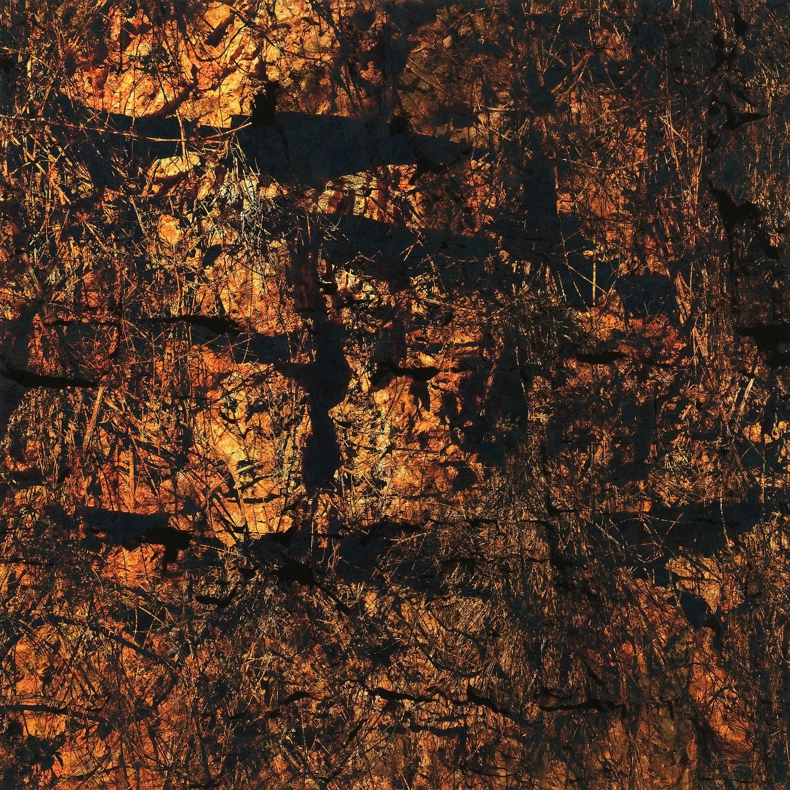 Blaise Adilon, Découvrement, 2025