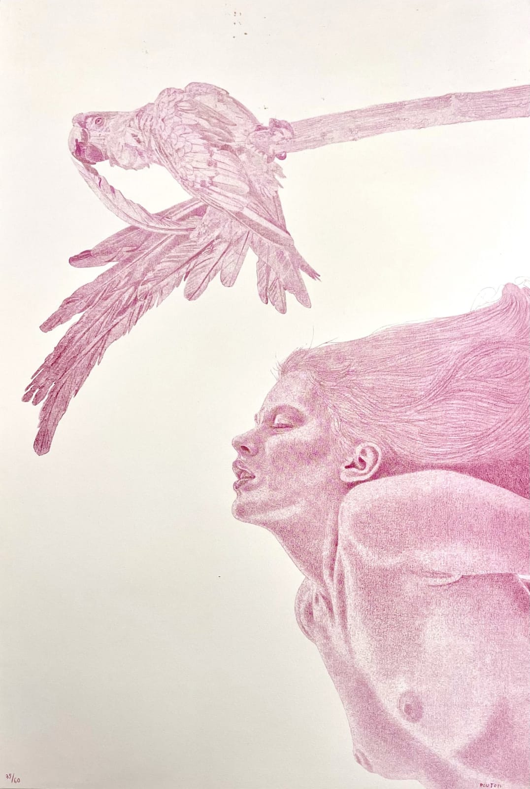 Serge Poujon, L'ara surveille, 2002