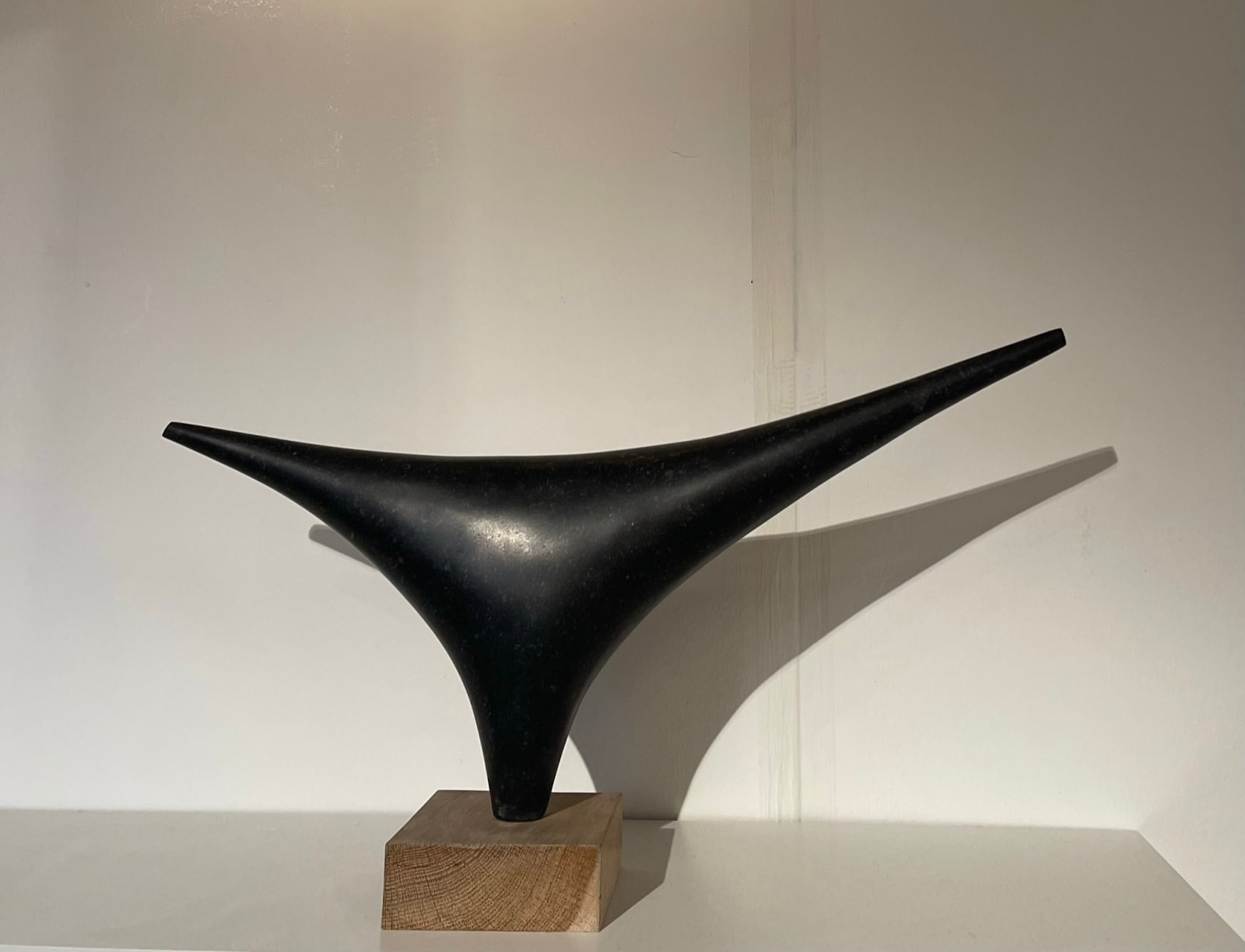 Guy Stevens, Bird, 2021