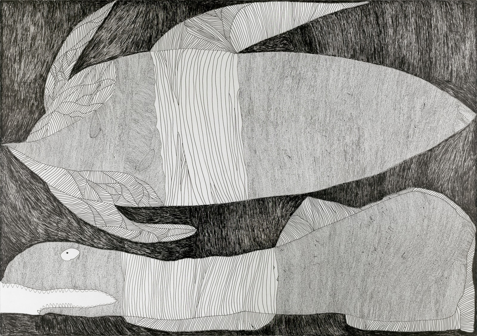 Shunichi Iwase / 岩瀬 俊一, くじらとサメ, 2017