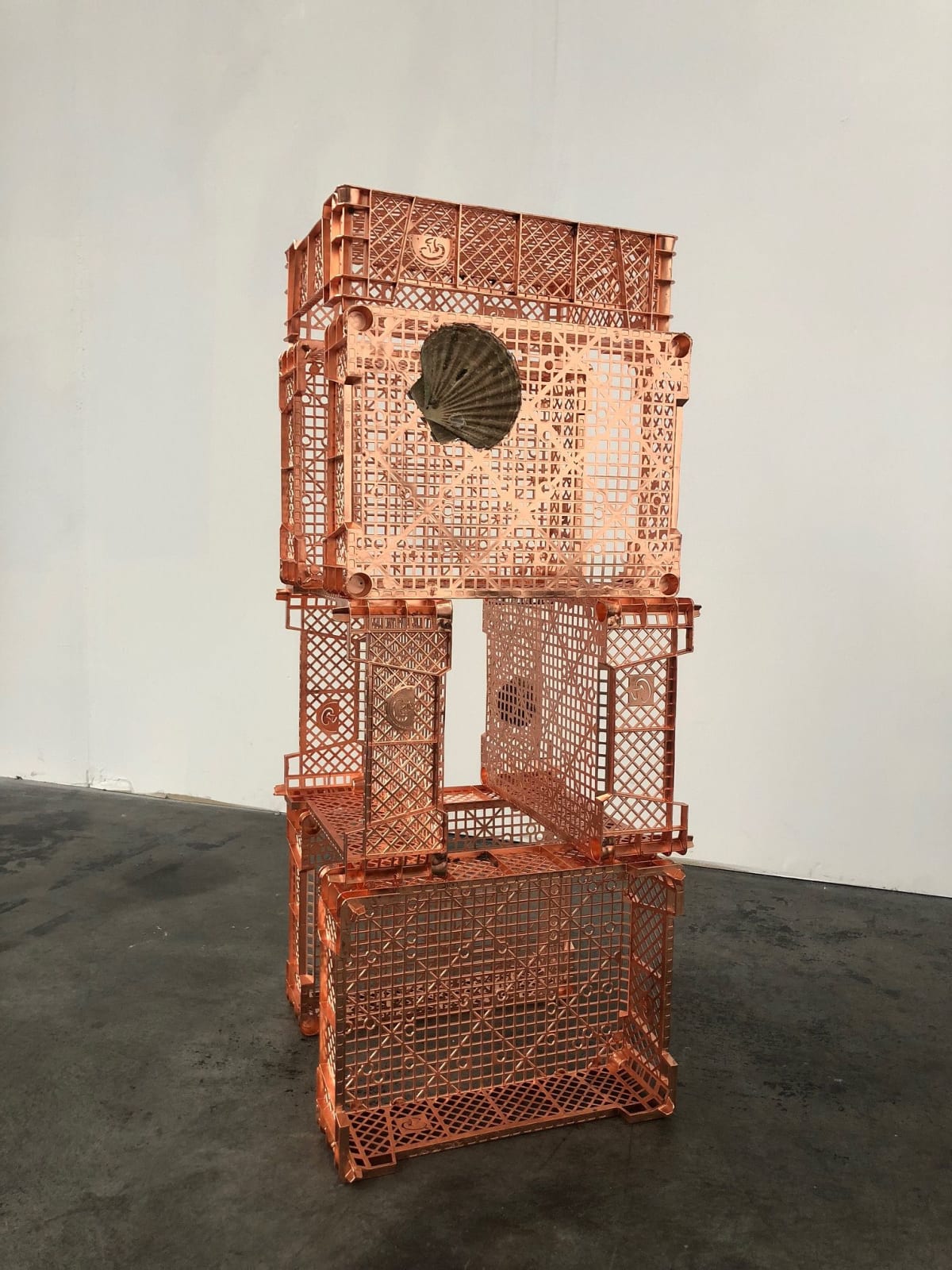 Athanasios Argianas, Mosaics & Aggregates 2 (scallop, thorny oyster, mushroom crates), 2019