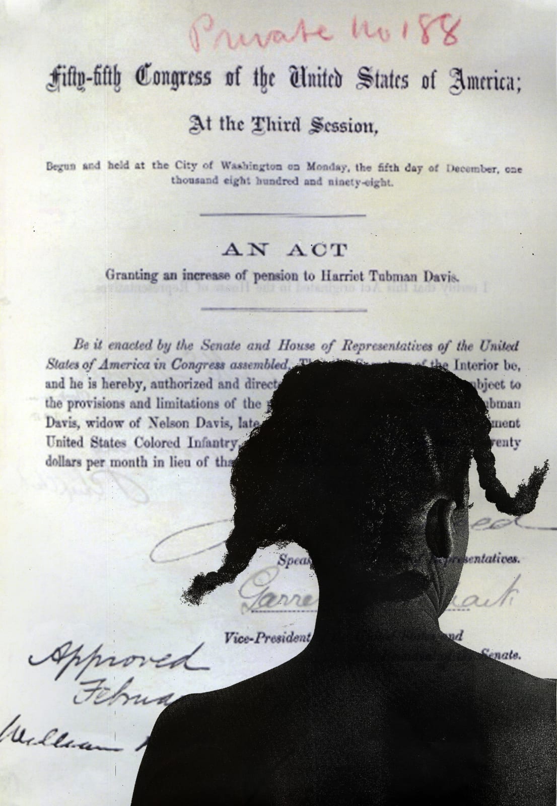 Adama Delphine Fawundu, Increase of Pension to Harriet Tubman, In the Face of History Series, 2018