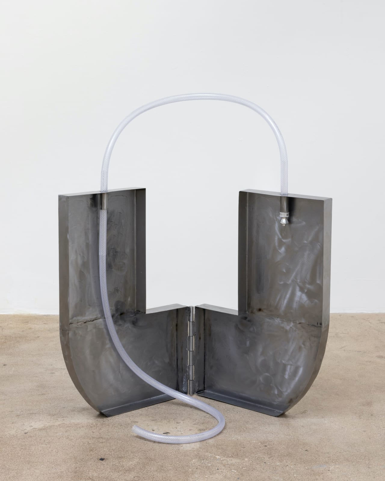 Alina Tenser, Water Carrier, 2023